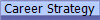 Career Strategy